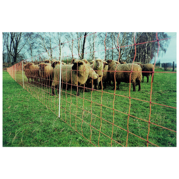 Weidezaun Euronetz Extra 90cm Doppelspitze 50m Weidezaun Euronetz Extra 90cm Doppelspitze 50m